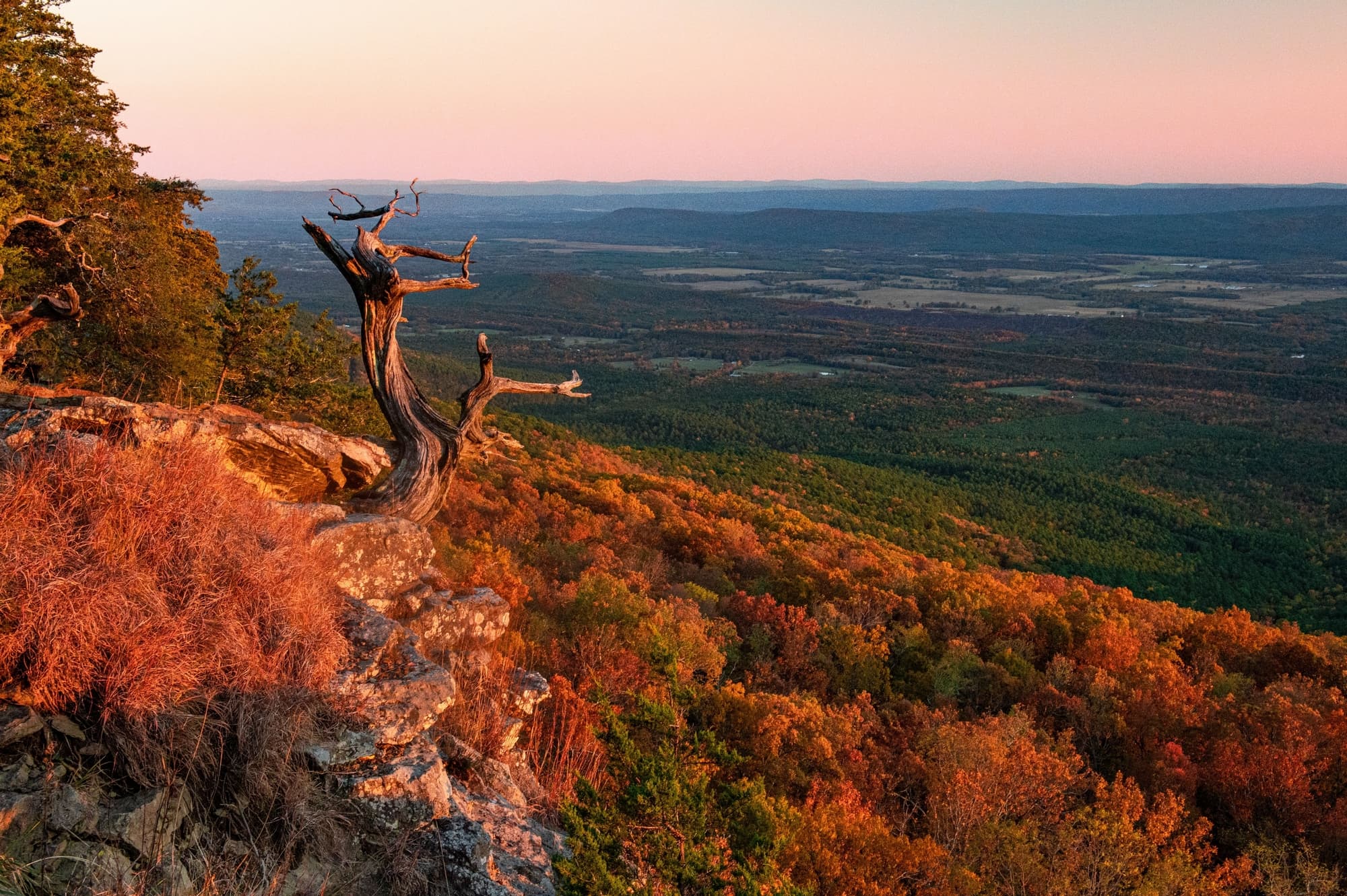 Fall color from the bluff near Whitaker Point