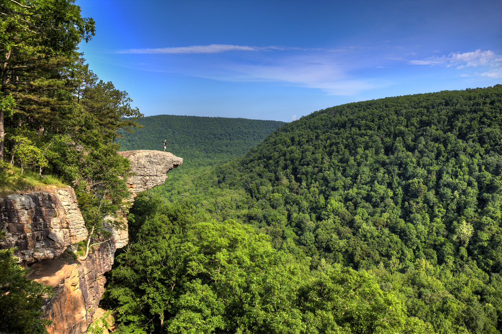 Whitaker Point (Hawksbill Crag)